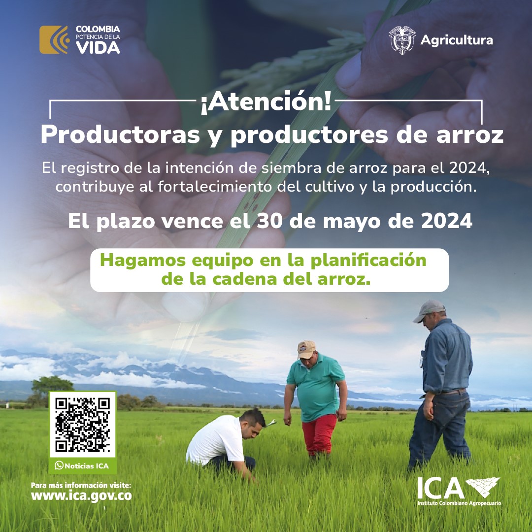 La imagen parece ser un cartel promocional o informativo relacionado con la agricultura en Colombia. Presenta una fotografía de tres individuos trabajando en un campo, probablemente sembrando arroz, como indica el texto.