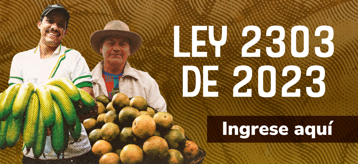 Ley 2303 de 2023