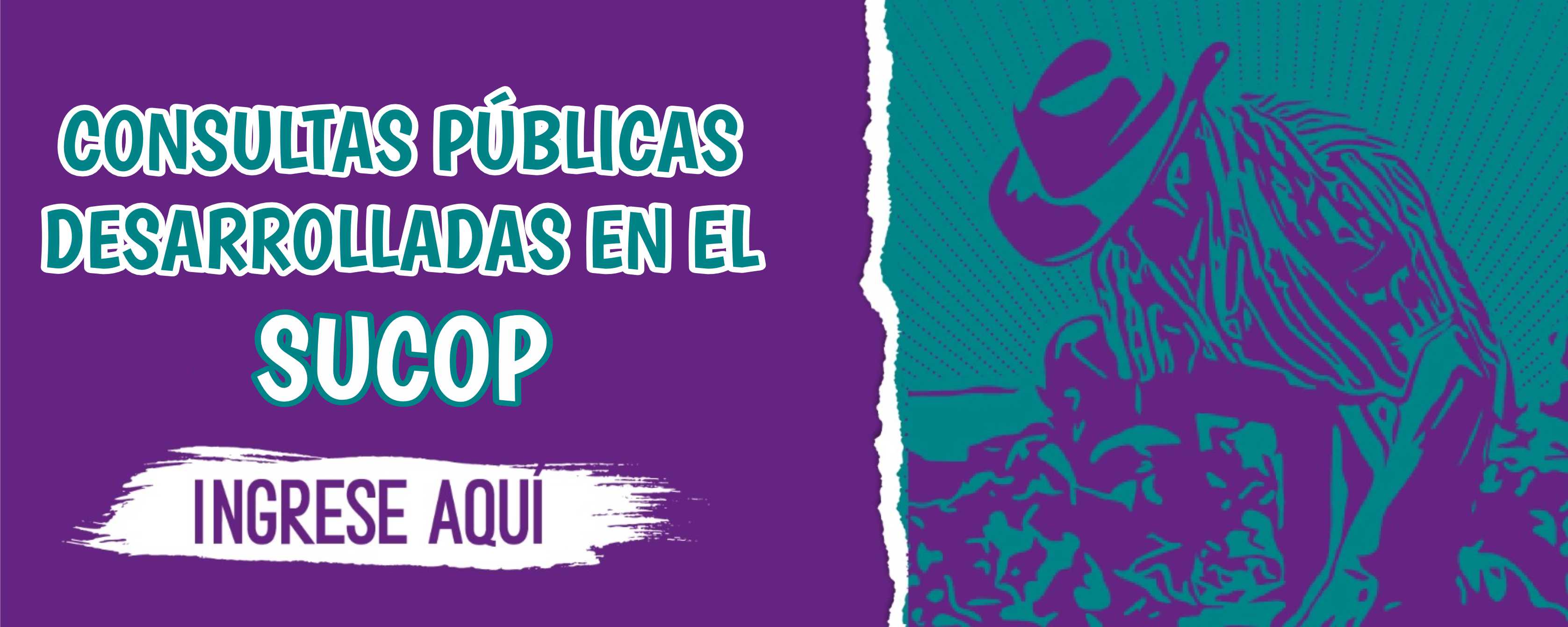 Consultas Publicass Desarrolladas en el SUCOP