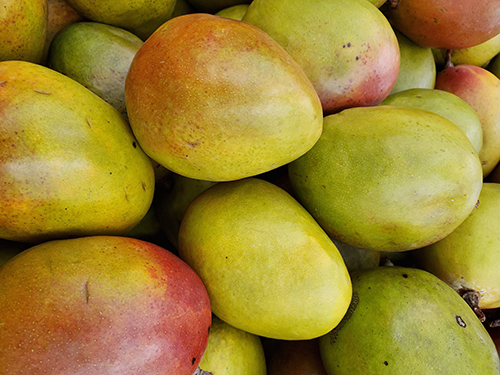 Foto de Mango