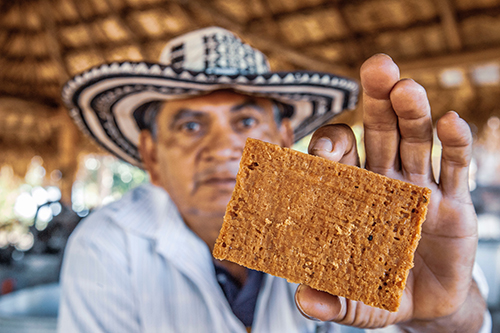 Foto de la Panela