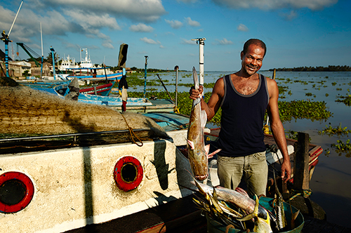 Foto de Pesca
