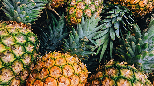 Foto de la Piña