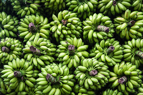 Foto del Plátano