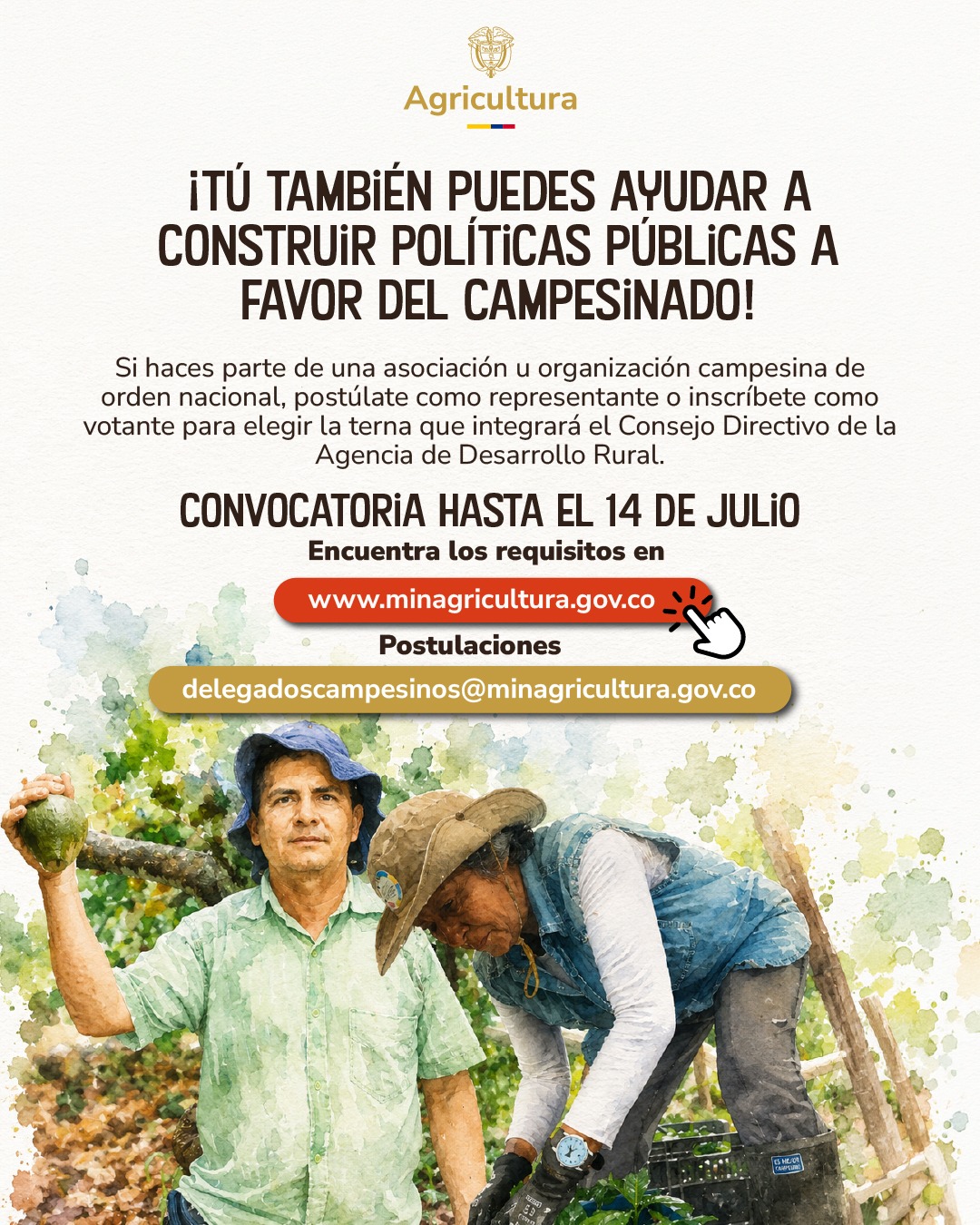 Pieza informativa del Ministerio de Agricultura que invita a organizaciones campesinas a participar en la elección de representantes ante la Agencia de Desarrollo Rural, con plazo hasta el 14 de julio.