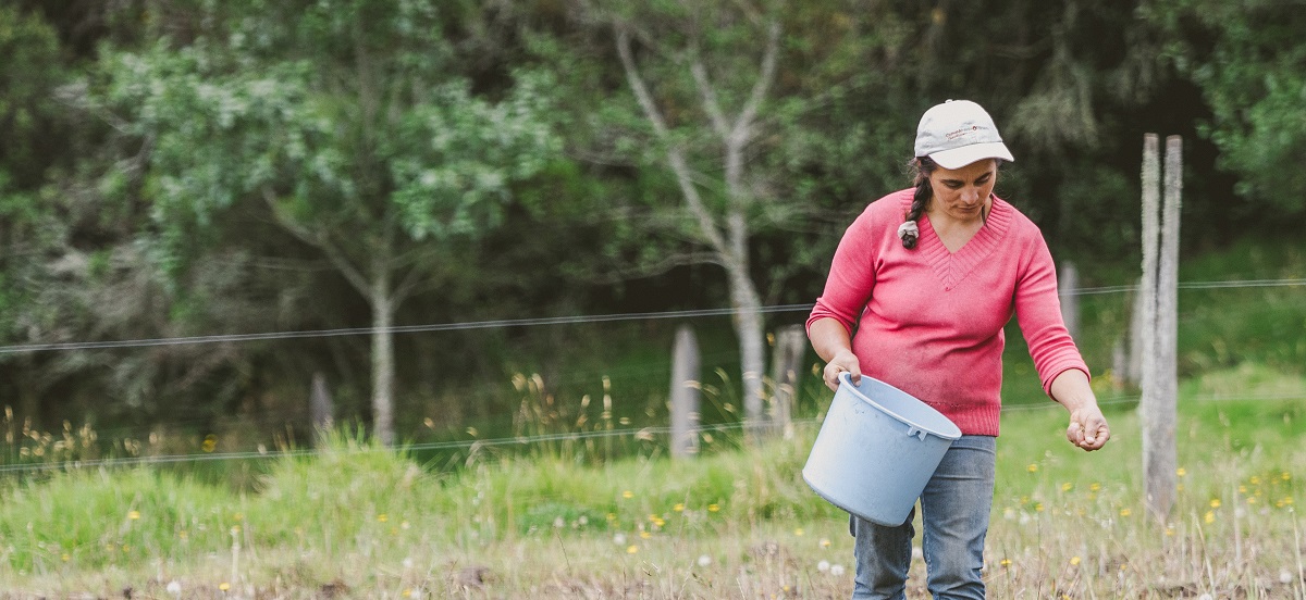 En la imagen aparece una persona de pie en un campo con un cubo en la mano. La persona parece llevar un jersey rosa y una gorra, y parece estar realizando algún tipo de actividad al aire libre, posiblemente relacionada con la jardinería o la agricultura. El campo es frondoso y verde, lo que sugiere que podría ser primavera o verano. Hay árboles al fondo, lo que indica que el campo forma parte de una zona rural o agrícola más amplia.