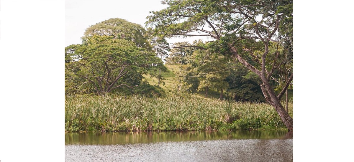 El Gobierno del Cambio entrega más de 7.500 hectáreas de tierra al campesinado del Cesar, incluyendo el predio ‘La América’