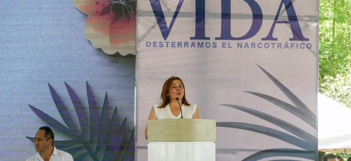 En la nueva política antidrogas, Minagricultura es protagonista con desarrollo rural y el cuidado de la vida