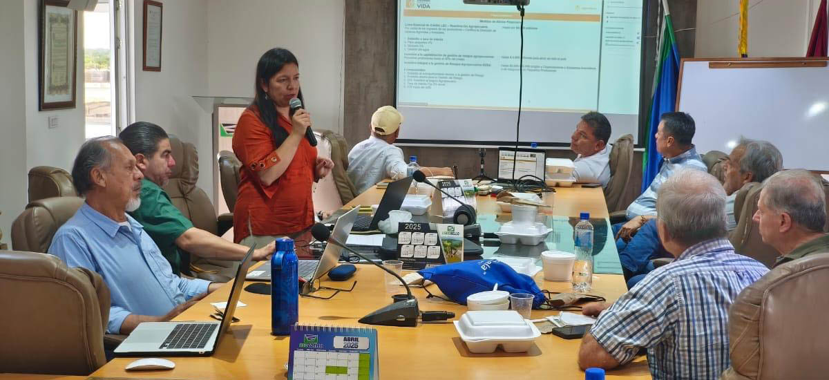 Gobierno del Cambio presentó medidas estructurales para fortalecer la cadena arrocera en todo el país