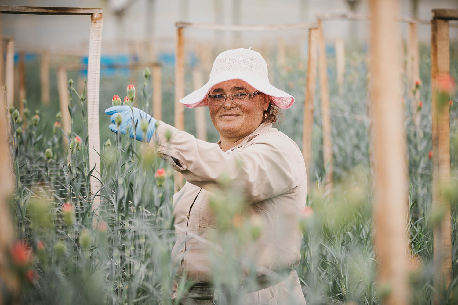 En la imagen aparece una persona con un sombrero blanco y una chaqueta de color claro, de pie en un invernadero o jardín lleno de plantas. La persona parece estar realizando alguna actividad de jardinería o cuidado de plantas, como indican los guantes y la forma en que interactúa con las plantas. El entorno sugiere un espacio de cultivo controlado, posiblemente de flores u hortalizas, dadas las hileras de plantas y la estructura del invernadero. La persona parece sonreír, lo que indica que podría estar disfrutando de su trabajo o del entorno.