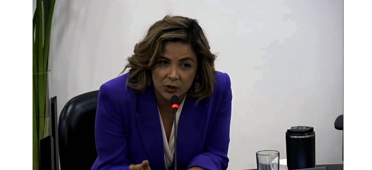 Se observa en la gráfica a la Ministra en una mesa de trabajo con el congreso