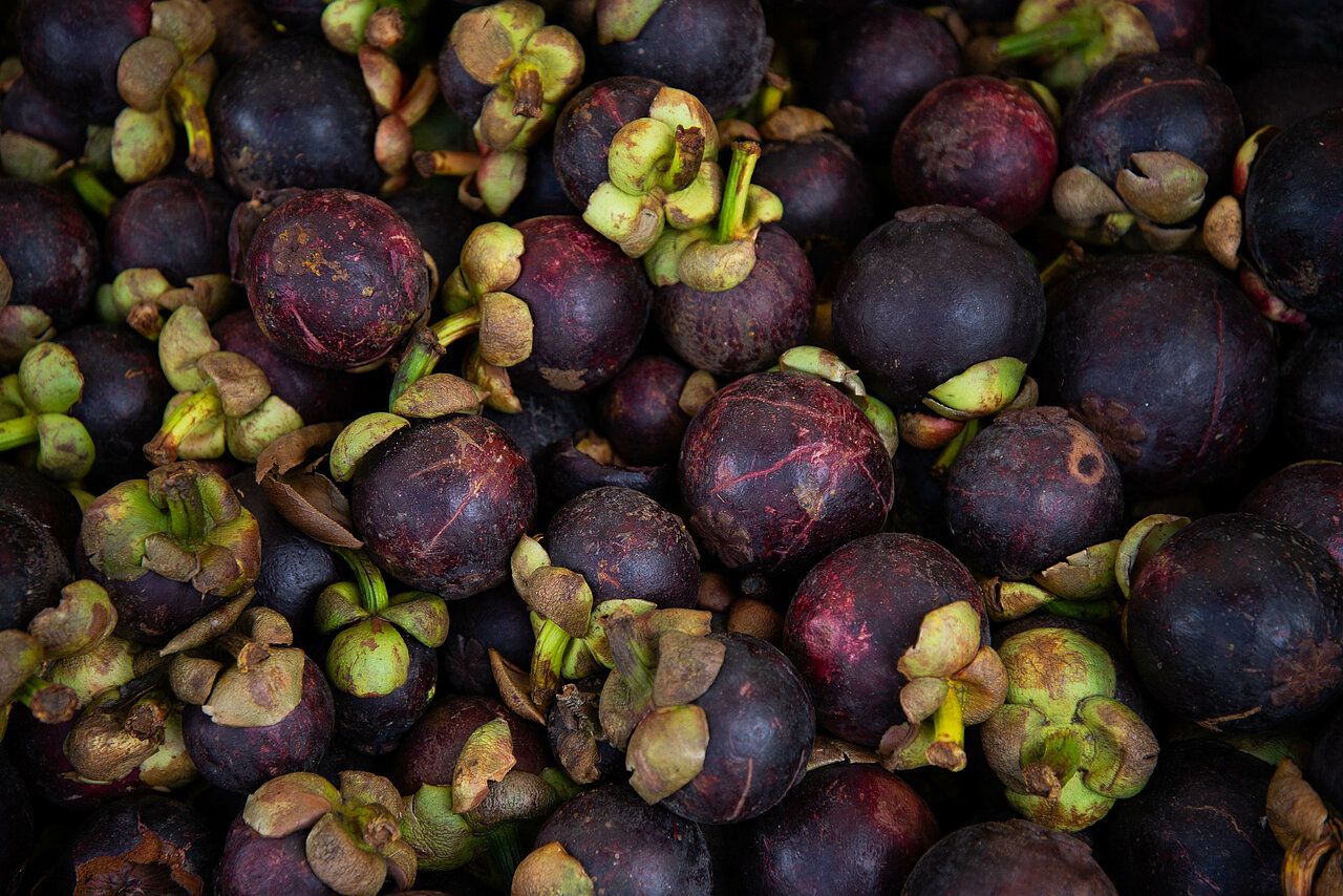 La imagen muestra un montón de fruta, mangostino para ser precisos, sobre una mesa. un aspecto fresco e intacto. El montón está formado por mangostinos de distintos tamaños y formas