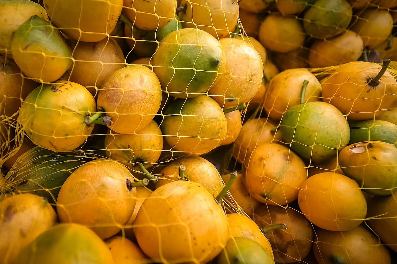 La imagen muestra una gran pila de limones, naranjas y limas amarillos, todos metidos en una bolsa de malla. Las frutas están dispuestas en varias posiciones, unas encima de otras y otras más cerca de los bordes de la bolsa. Los vivos colores de las frutas crean una escena visualmente atractiva, que muestra la frescura y abundancia de los productos.