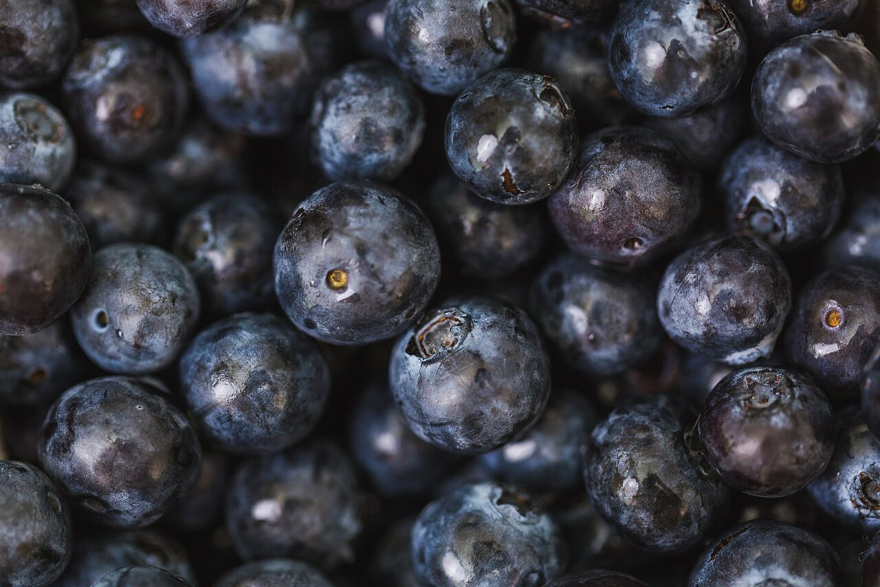 La imagen muestra un gran montón de arándanos, algunos de los cuales parecen moras. Los arándanos están dispuestos de una manera visualmente atractiva, con algunos superpuestos. El montón es bastante denso y los arándanos ocupan la mayor parte del encuadre. El primer plano de los arándanos resalta su vibrante color y textura, dándoles un aspecto fresco y apetitoso.