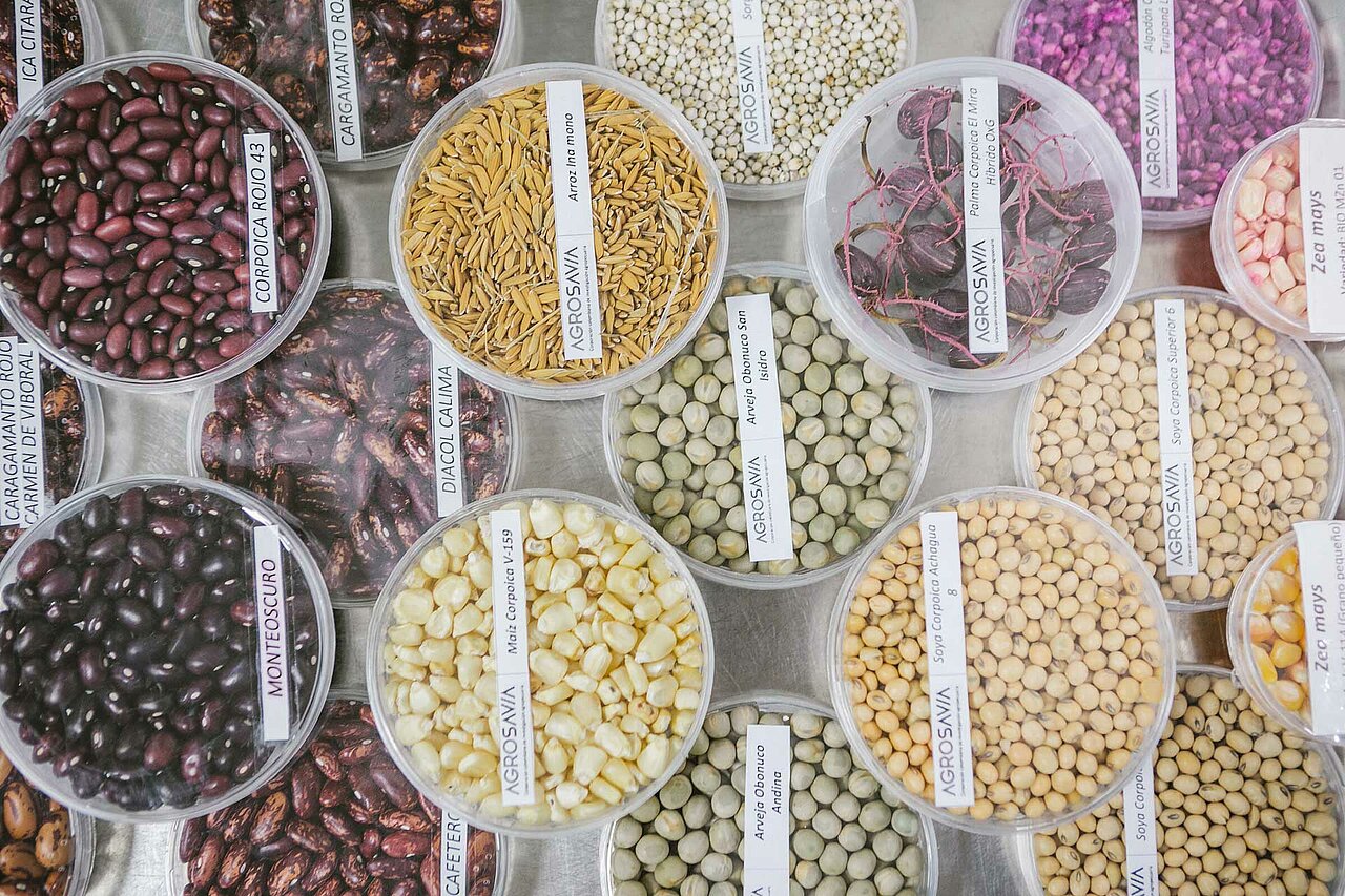 La imagen muestra una variedad de alubias y legumbres en recipientes de plástico, dispuestas en forma circular. Hay varios tipos de alubias, como alubias blancas, alubias rojas y alubias marrones, todas ellas colocadas en cuencos separados. Los recipientes están etiquetados con sus respectivos nombres, lo que facilita la identificación de cada tipo de alubia.