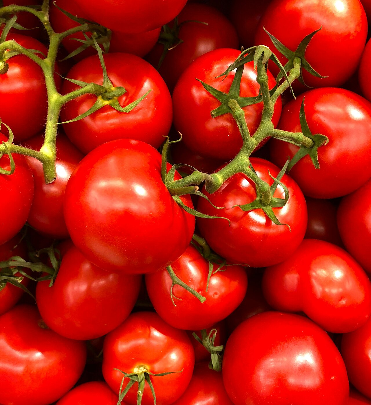 La imagen muestra una gran pila de tomates rojos maduros. Los tomates están colocados en distintas posiciones, unos encima de otros y otros esparcidos por el montón. Los tomates están frescos y listos para ser utilizados en diversos platos, como ensaladas, salsas o salsas para pasta.