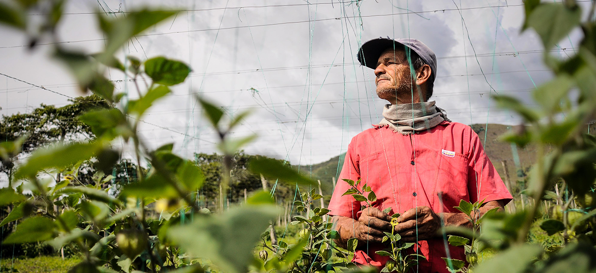 "El sector agropecuario, una de las actividades económicas que más empleo generó en septiembre en el país "