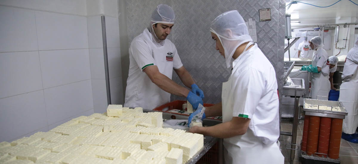 En la imagen se aprecia a dos trabajadores de produtos lacteos empaquetando queso