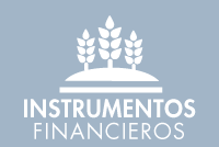 Instrumentos Financieros