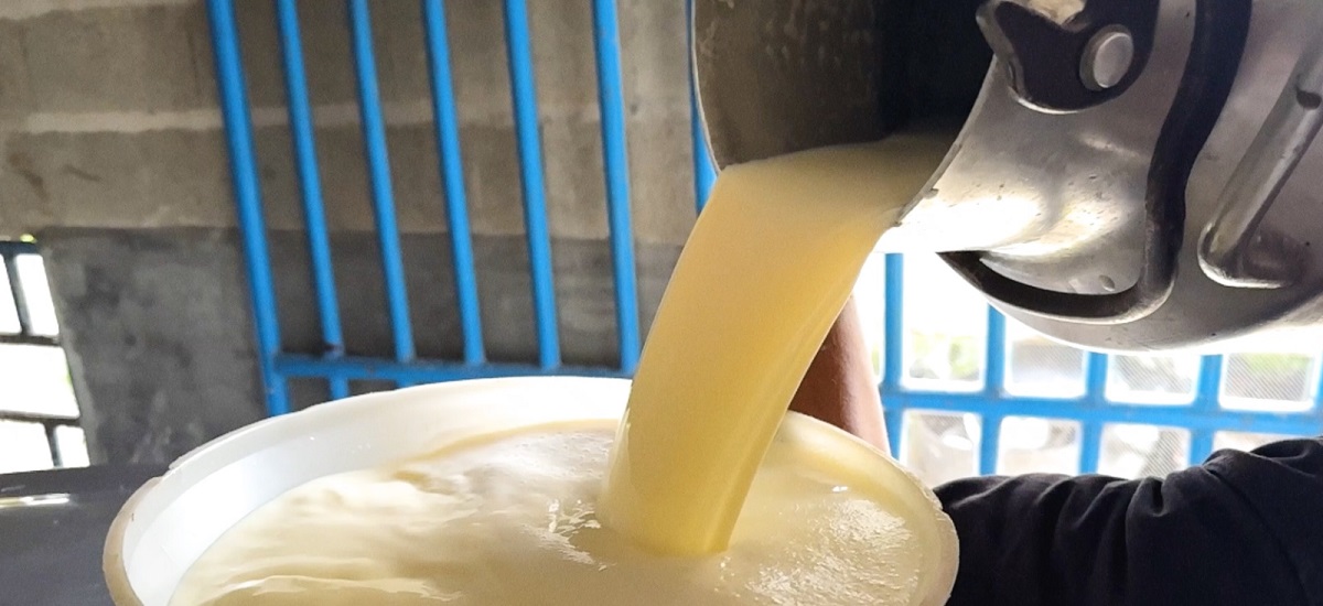 MinAgricultura invita compradores y procesadores de lácteos a inscribirse y beneficiarse del incentivo al almacenamiento de leche