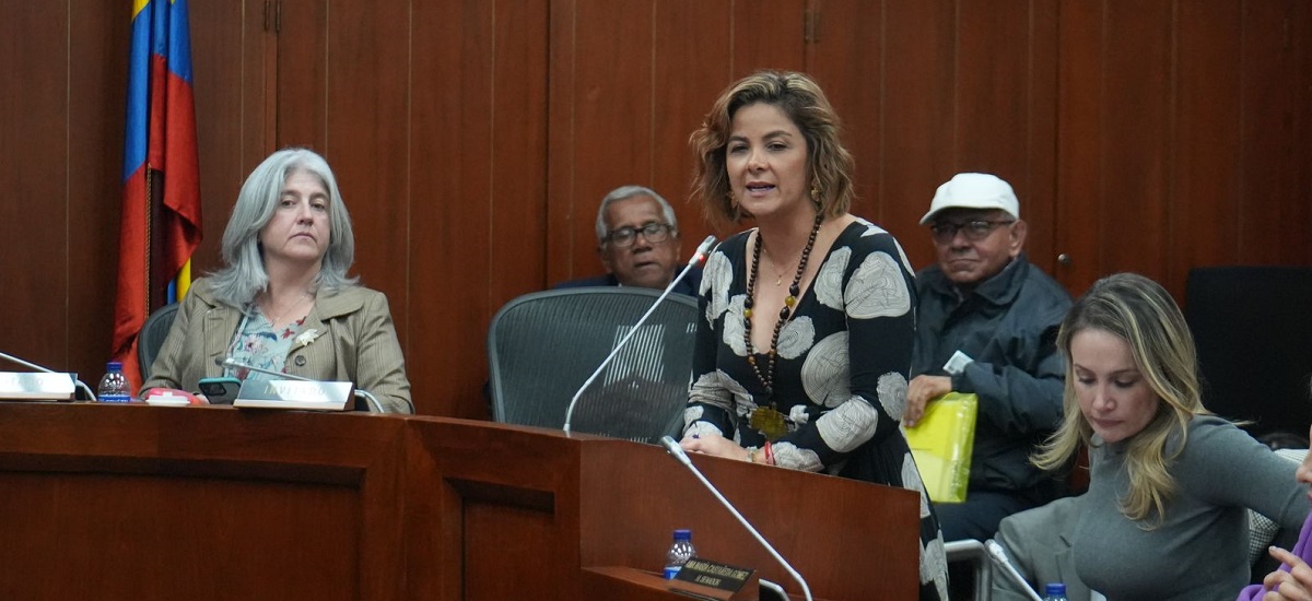 En la imagen aparece una mujer de pie ante un podio, hablando por un micrófono. Parece dirigirse a un público o a un grupo de personas sentadas frente a ella. El escenario parece una reunión formal o un acto de oratoria, posiblemente en un contexto gubernamental o institucional, como indican la presencia de una bandera y la vestimenta formal de las personas presentes.