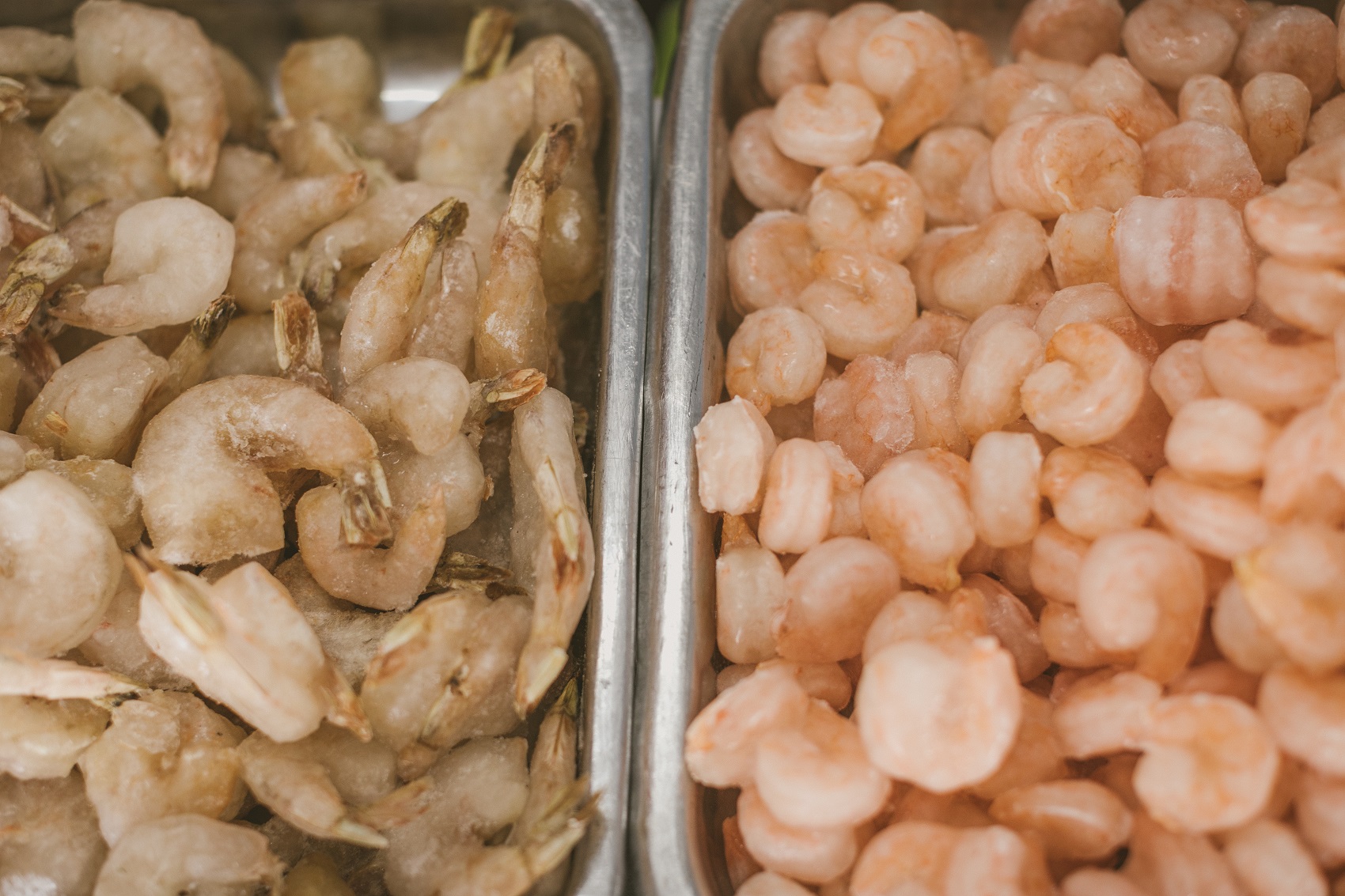 La imagen muestra dos bandejas de gambas, cada una con un aspecto diferente. La bandeja de la izquierda contiene gambas más grandes y de color blanco más opaco, lo que sugiere que están crudas y posiblemente frescas. La bandeja de la derecha contiene gambas más pequeñas y rosadas que parecen cocidas o precocinadas. Es probable que estas gambas estén listas para el consumo o para su uso en una receta que requiera gambas cocidas.