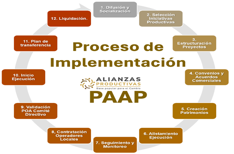 En la imagen se puede apreciar una mapeo de cada uno de los procesos a seguir para la implementación del Proyecto Apoyo Alianzas Productivas PAAP