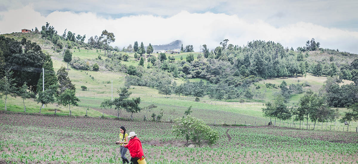 MinAgricultura reitera su apoyo a la iniciativa del sector Ambiente que promueve lineamientos ambientales para la Sabana de Bogotá