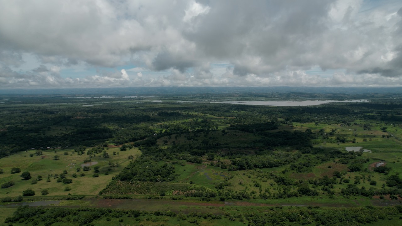 La imagen muestra un vasto y frondoso campo verde con una gran masa de agua al fondo. El campo está rodeado por un bosque, creando un paisaje sereno y pintoresco. La escena está captada desde una vista aérea, lo que permite al espectador apreciar la naturaleza expansiva de la zona. La combinación del campo verde, el agua y el bosque crea un entorno armonioso y tranquilo.