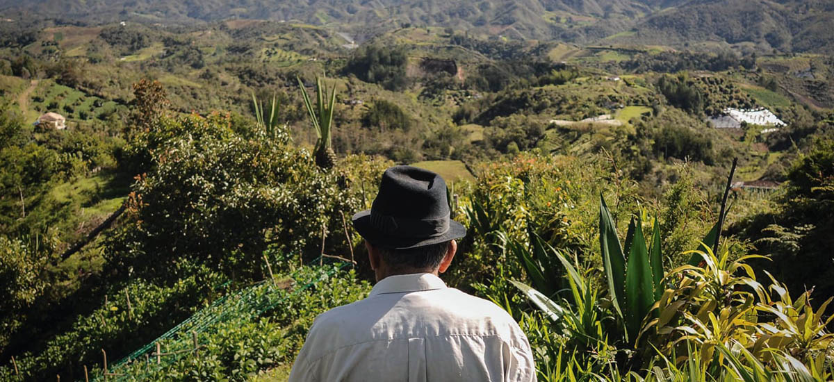 En la imagen se puede observar a un campesino, el cual se encuentra observando un hermoso paisaje llano, con montañas y un hermoso verde que transmite mucha calma y y tranquilidad 