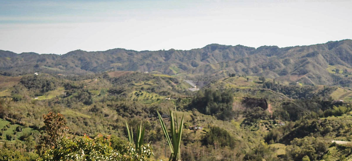 La América, la finca con un violento pasado que impulsará la Reforma Agraria en el Cesar