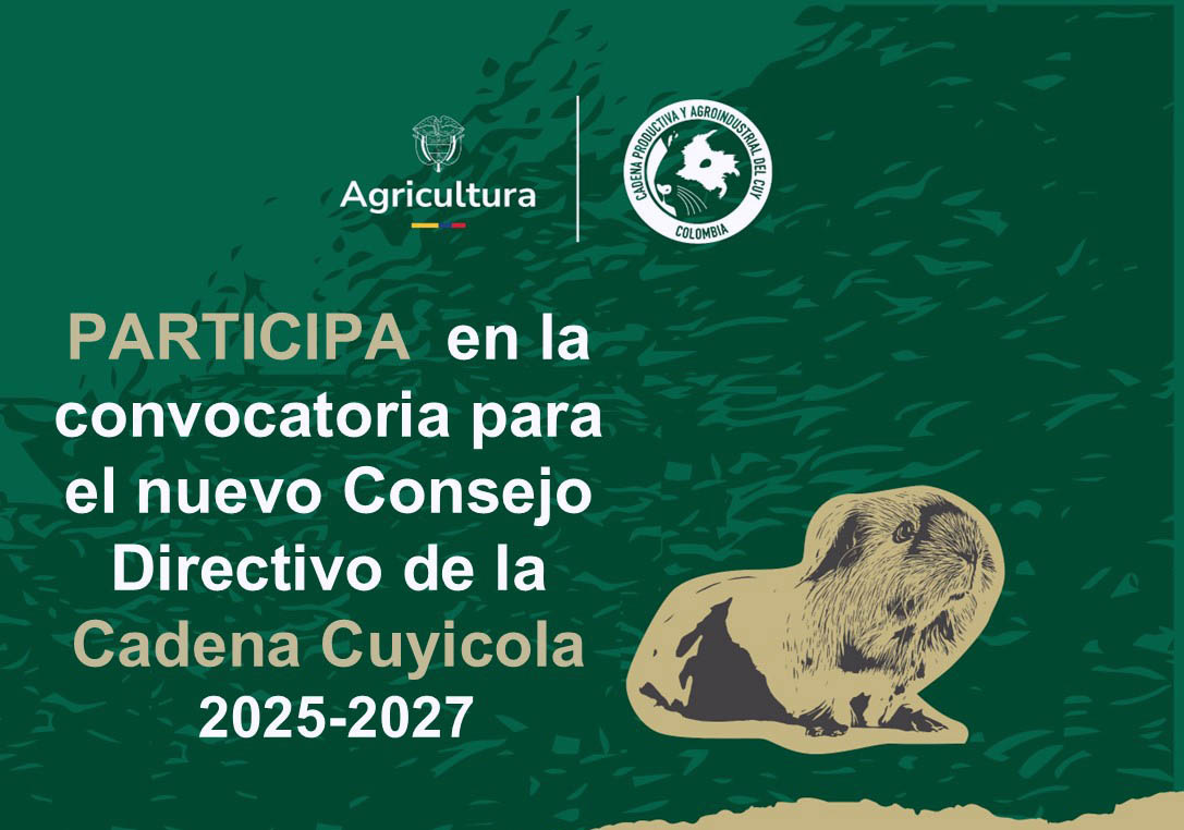 cadena del cuy.jpg