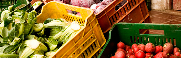 Imagen variedad verduras