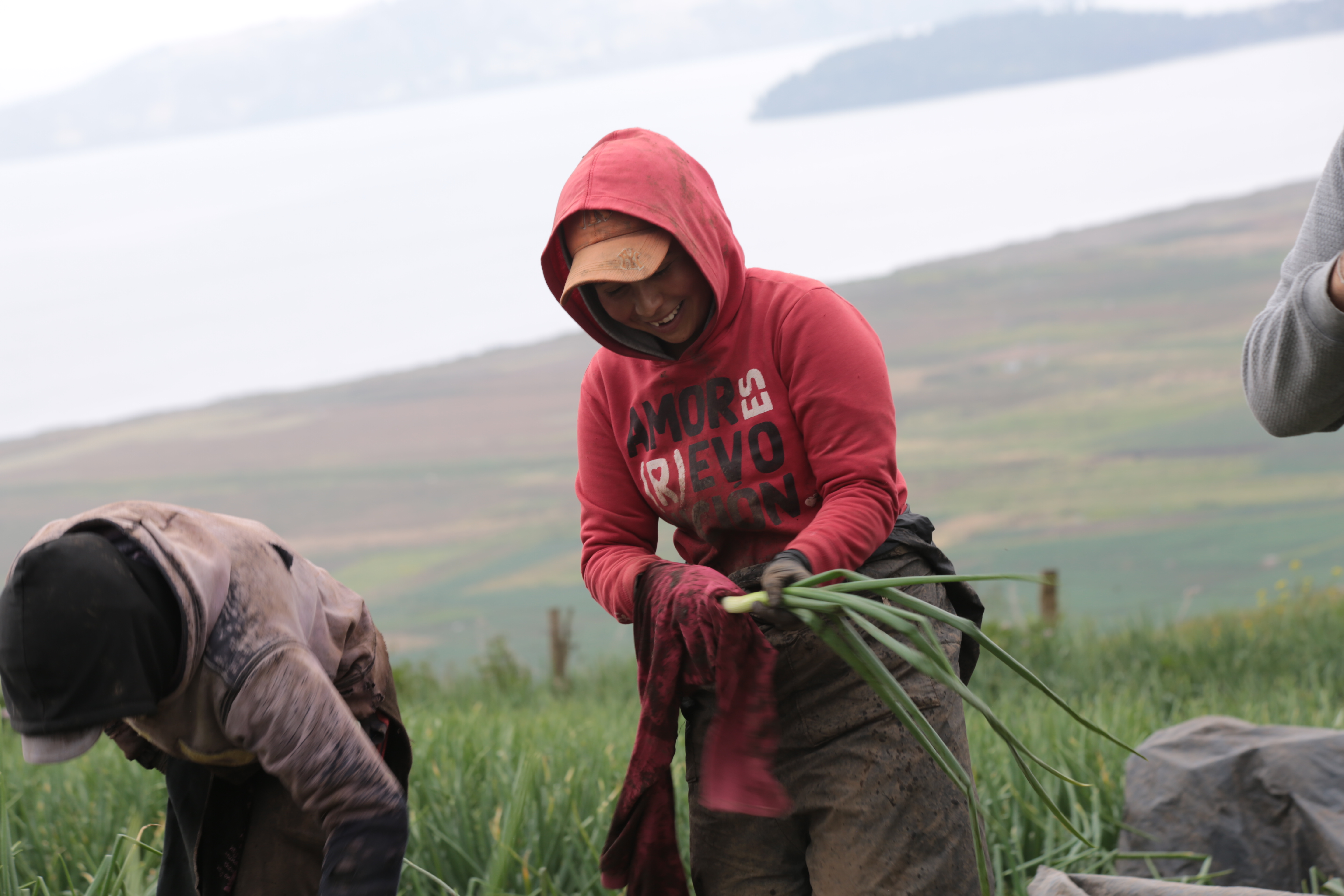 Preparativos para CIRADR+20