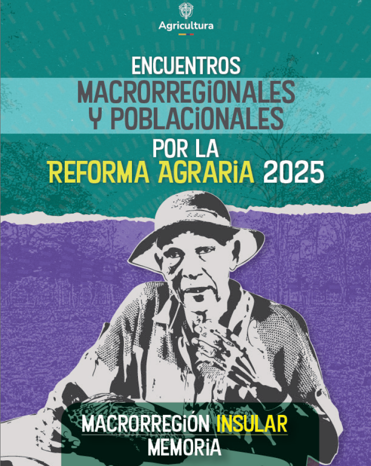 6. Insular – Noviembre 28 y 29 de 2025