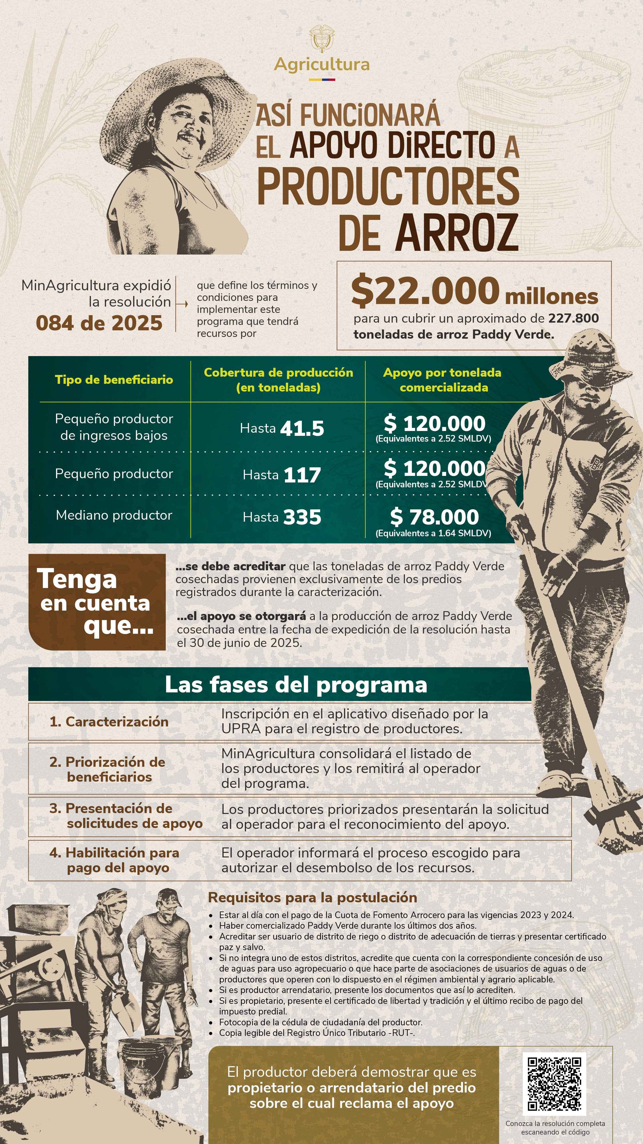 11_04_2025_infografia_arroz_page-0001.jpg