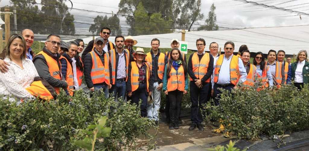 Visita Ministro Andres Valencia cultivo arandanos 5.jpeg