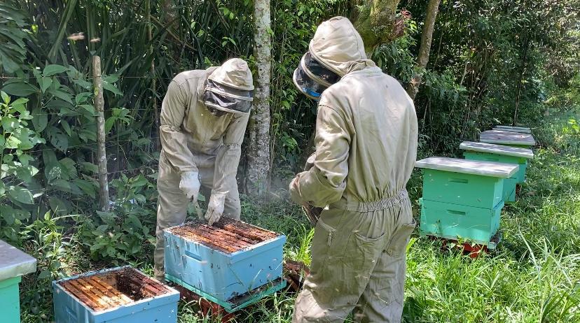 WhatsApp Image 2023-04-18 at 2.10.36 PM-7.jpeg