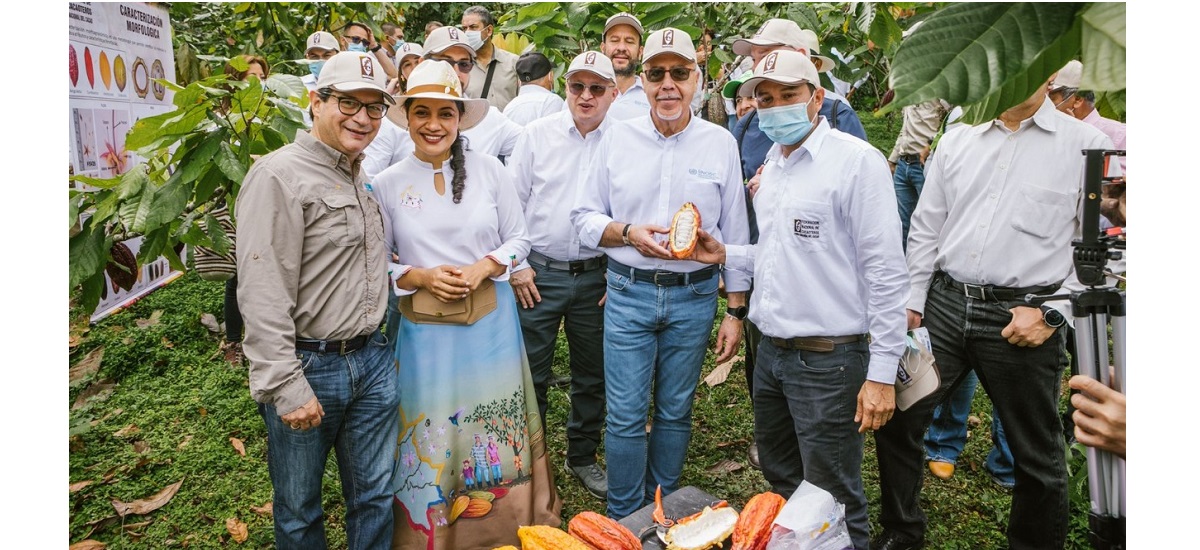 cacao_minagricultura 2w.jpg