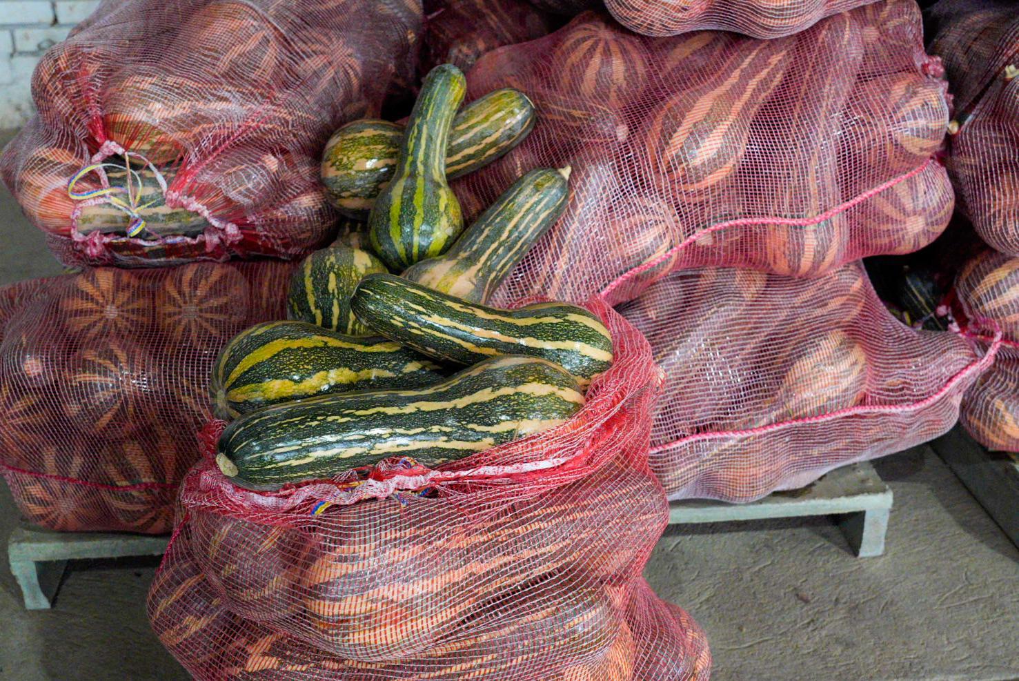 catatumbo 3.jpg