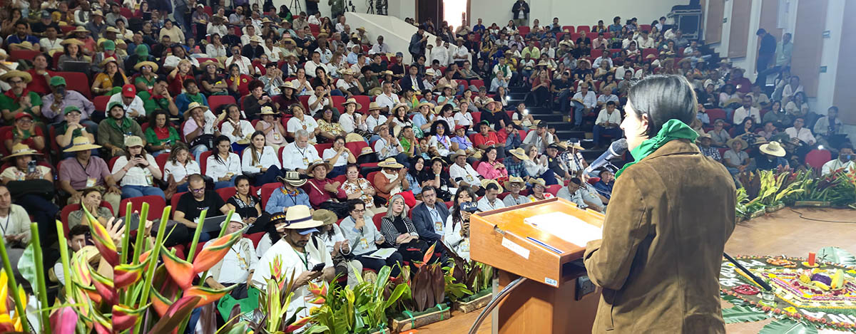 cumbre 6wps.jpg