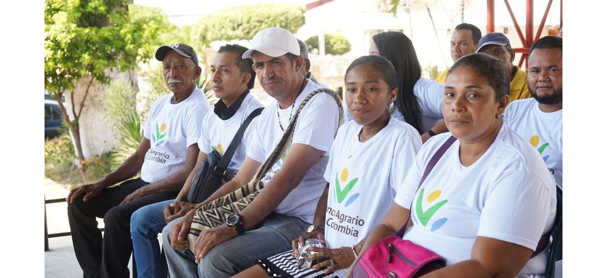 vice guajira 1 wp.jpg