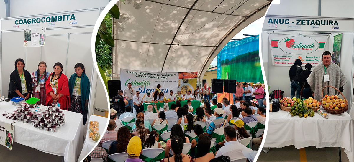 MinAgricultura promueve ruedas de negocios con pequeños productores del  campo para apoyarlos en comercialización