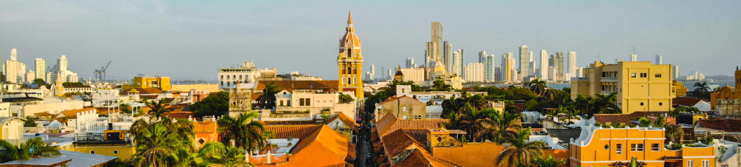 Banner Objetivos de la Conferencia