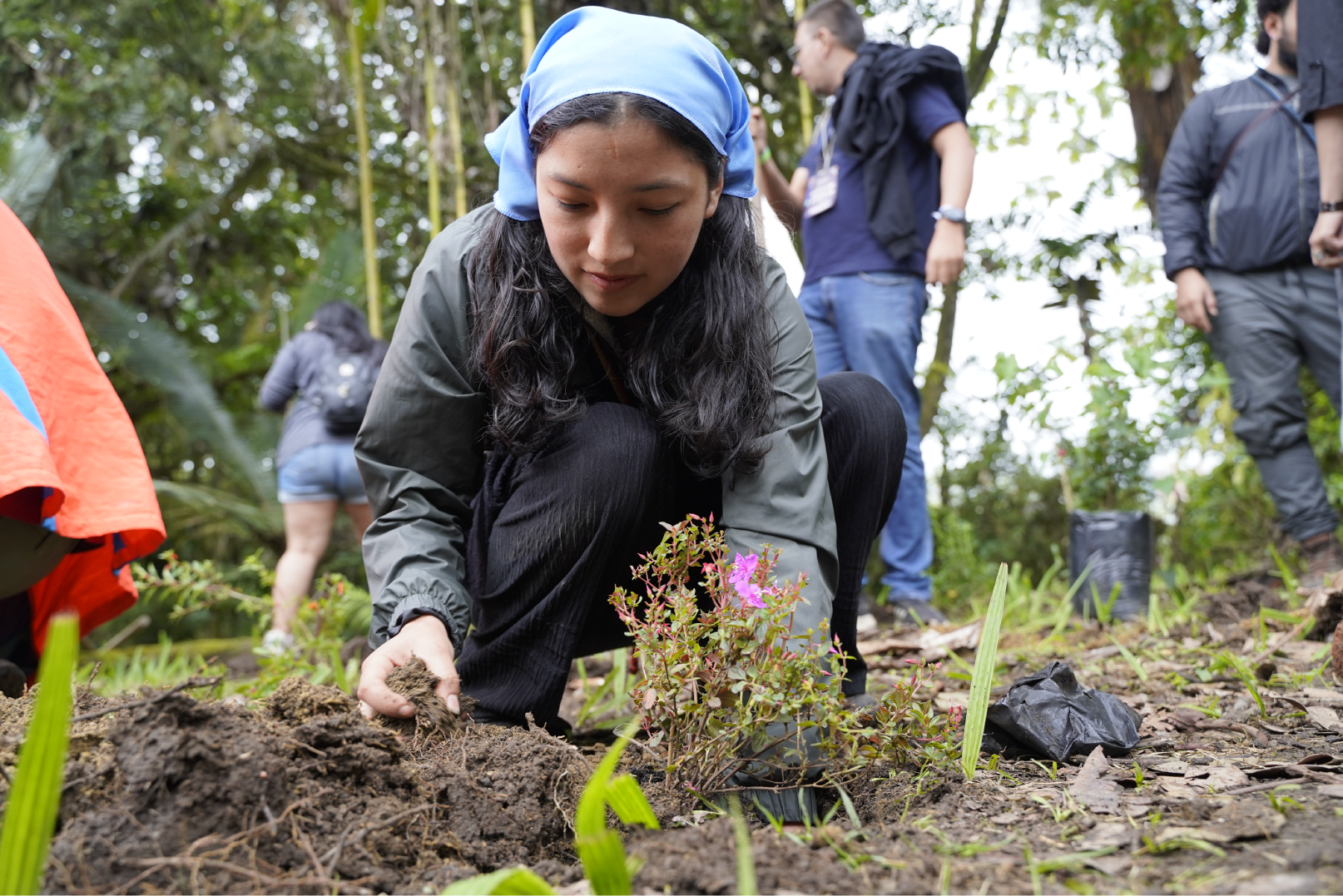 Ministra de Agricultura y Desarrollo Rural, Martha Carvajalino