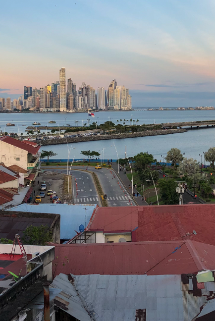 Ministra de Agricultura y Desarrollo Rural, Martha Carvajalino