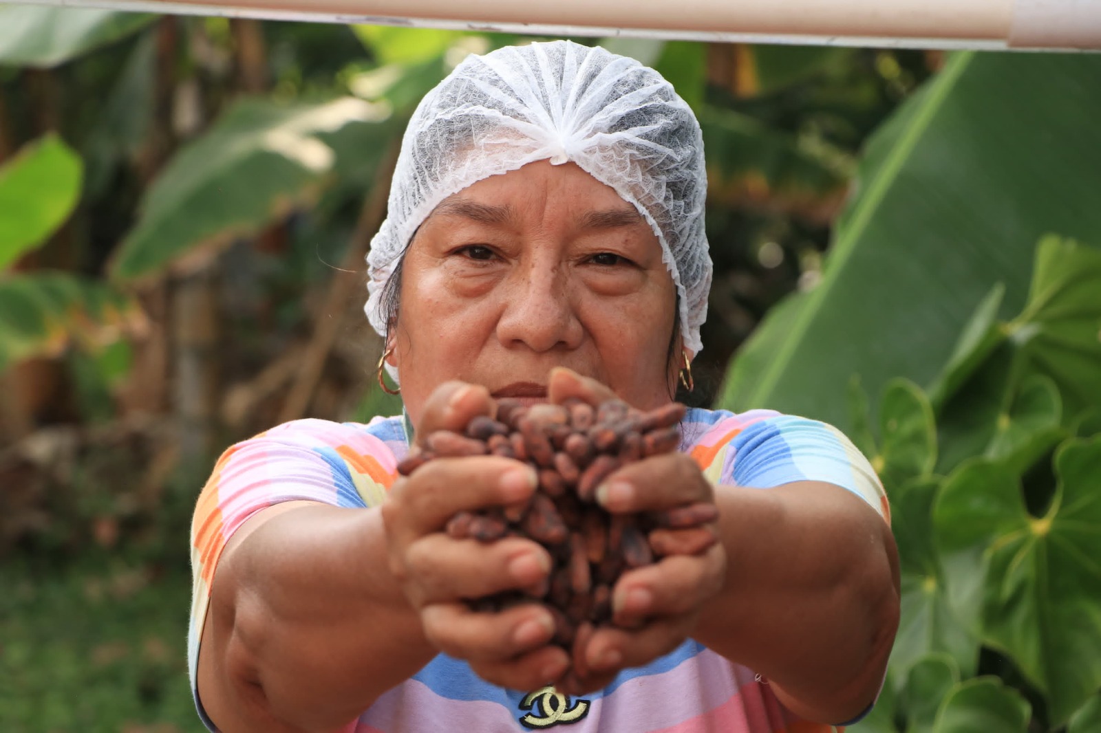 Cultivos sostenibles