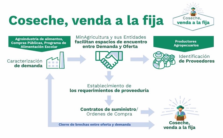 Infografía Coseche, Venda a la Fija